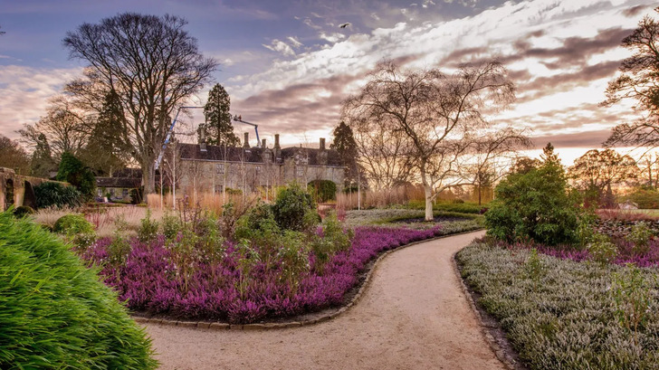 How Much Do You Know About Flowers And Plants?