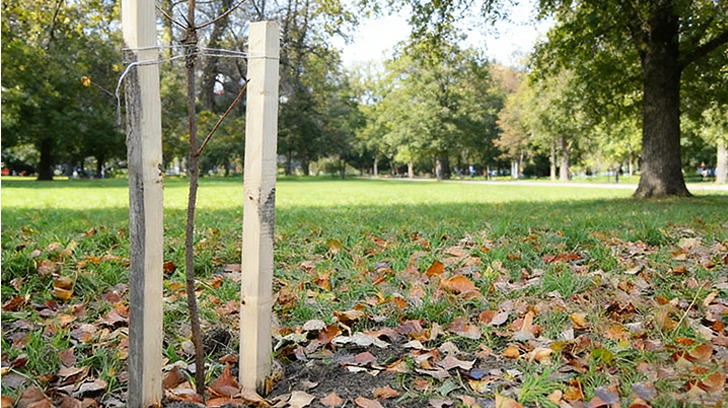 Can You Identify These Essential Gardening Tools?