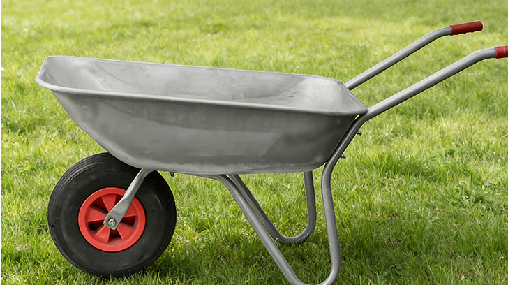 Can You Identify These Essential Gardening Tools?