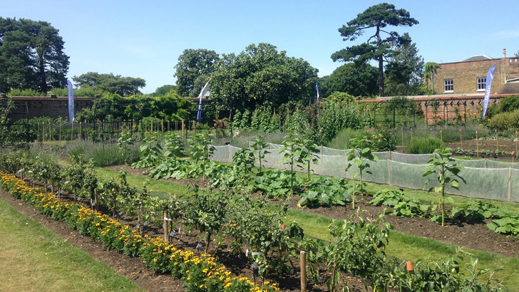 How Much Do You Know About Flowers And Plants?