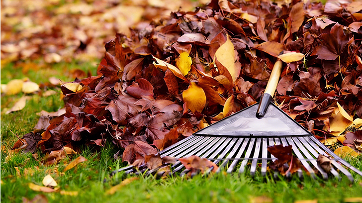 Can You Identify These Essential Gardening Tools?