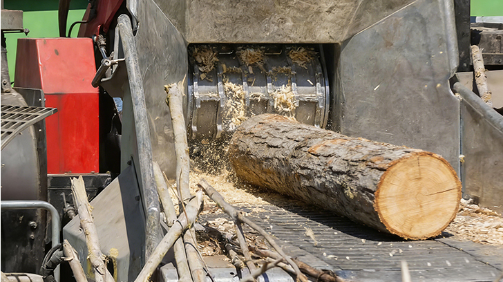 Can You Identify These Essential Gardening Tools?