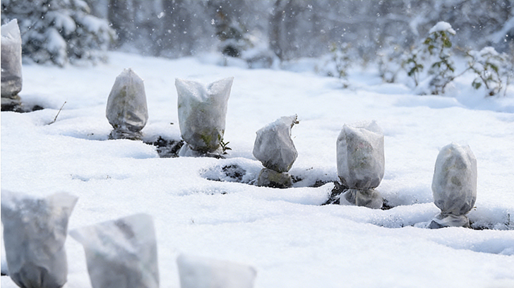 Can You Identify These Essential Gardening Tools?
