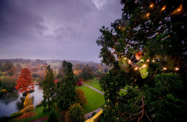 How Much Do You Know About Flowers And Plants?