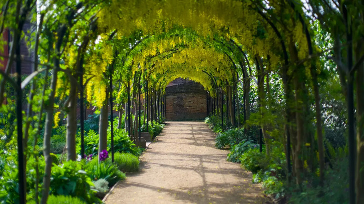 How Much Do You Know About Flowers And Plants?