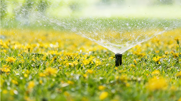 Can You Identify These Essential Gardening Tools?