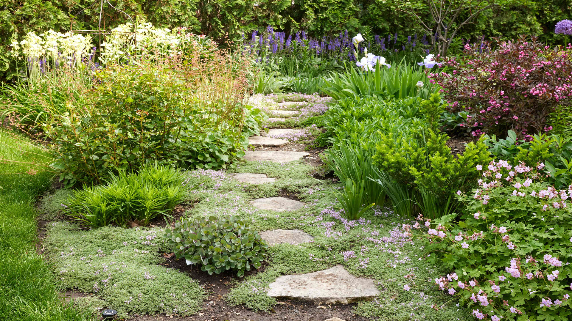 DIY Garden Pathways: Simple Ideas for Style and Function