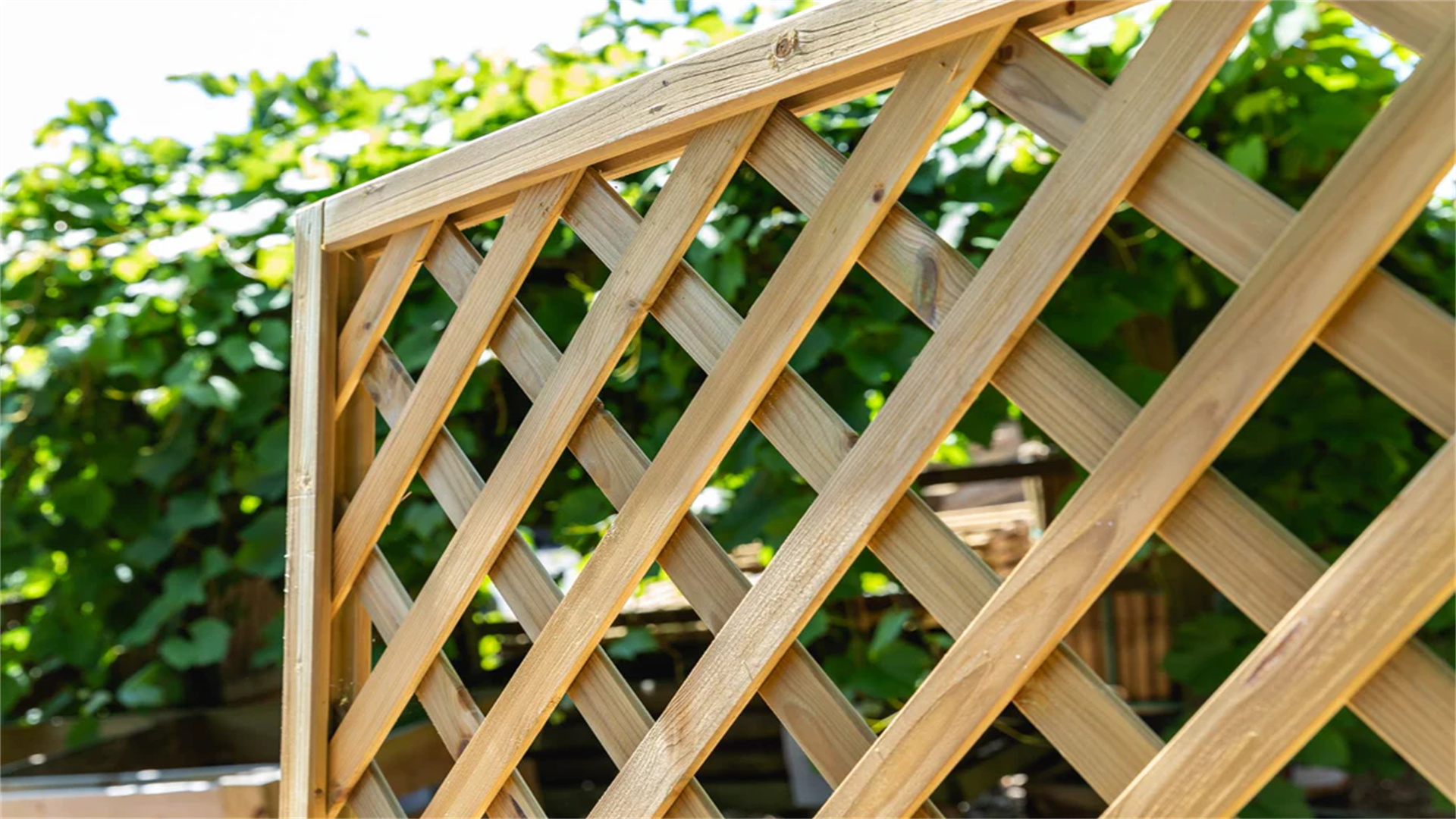 DIY Garden Trellises to Support Climbing Plants