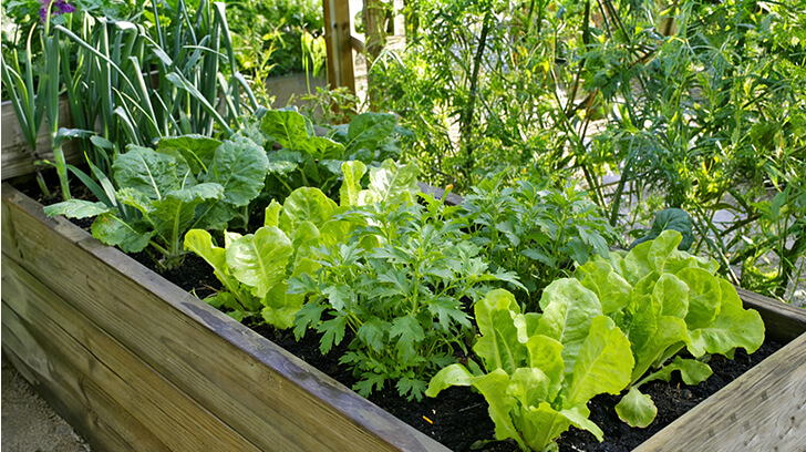 Can You Identify These Essential Gardening Tools?