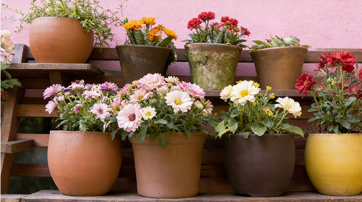 Can You Identify These Essential Gardening Tools?