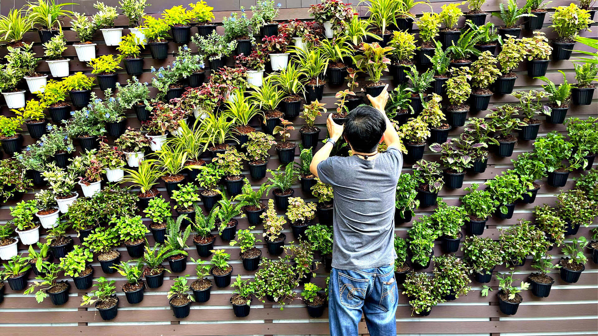6 Simple Methods to Transform a Tiny Corner into a Green Oasis