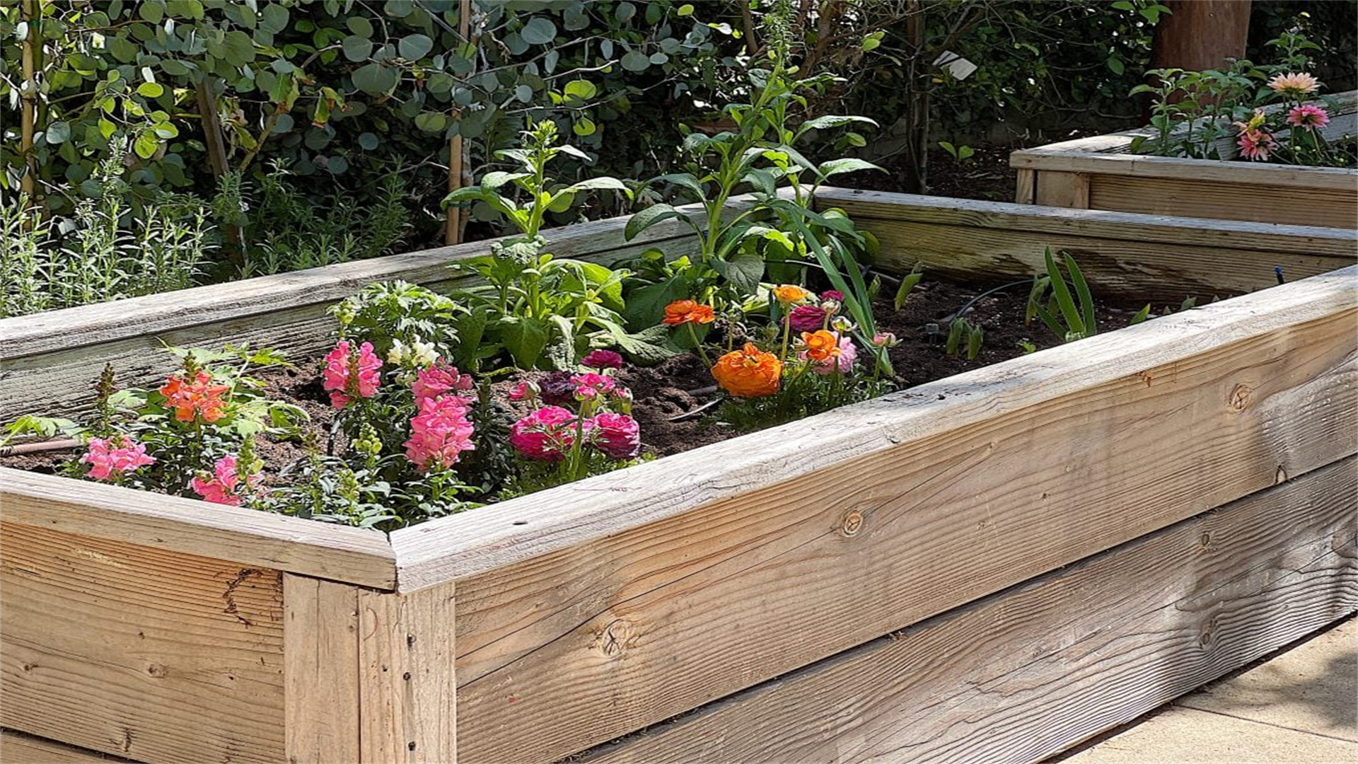 Step-by-Step Guide to Building a Raised Garden Bed